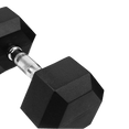 Fixed Hexagon Dumbbells (1 - 50KG) - DirectHomeGym