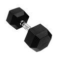 Fixed Hexagon Dumbbells (1 - 50KG) - DirectHomeGym